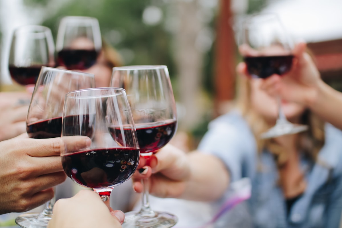 Comment choisir un bon vin rouge : guide complet pour débutants